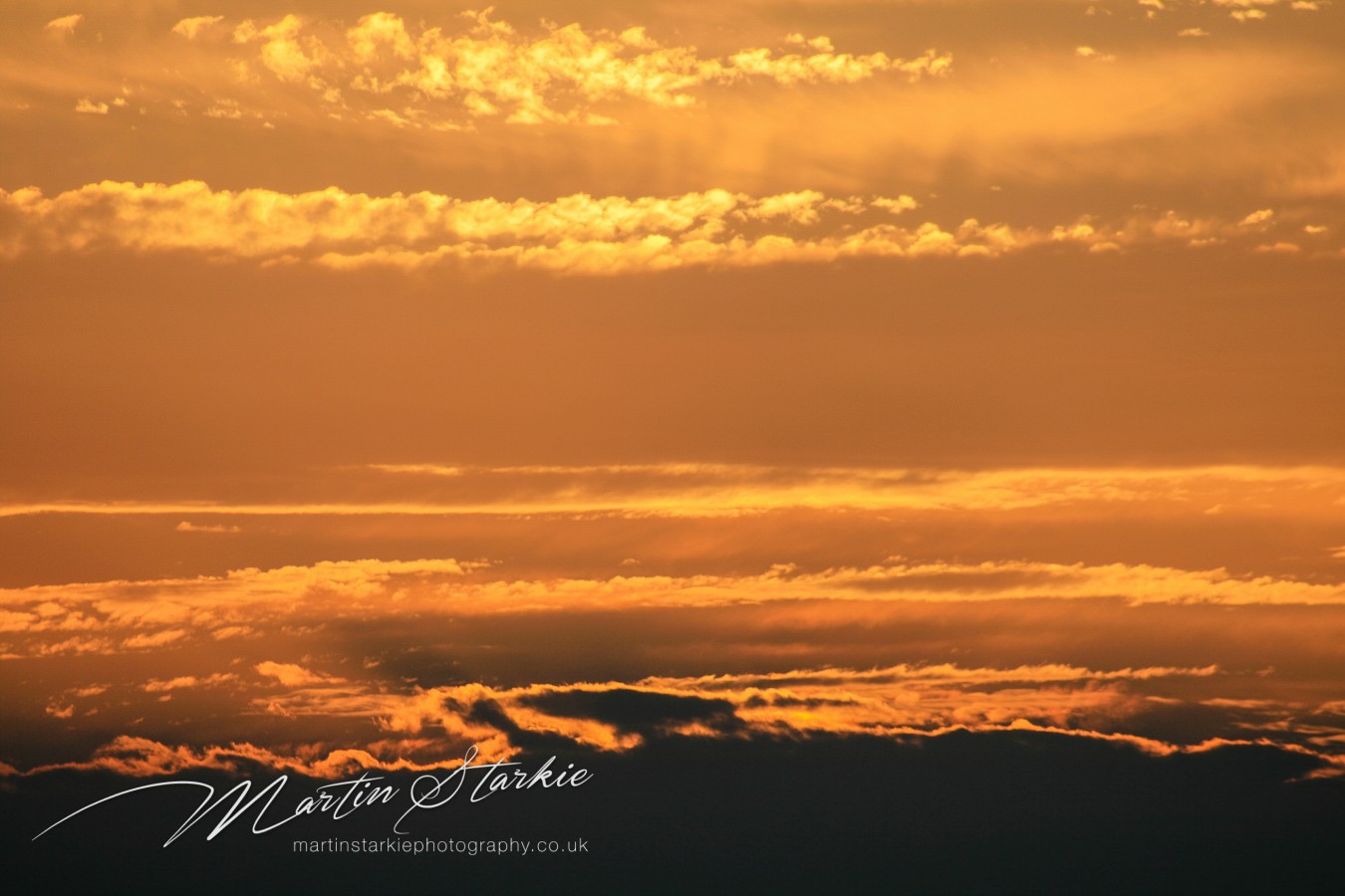 Martin Starkie Photography