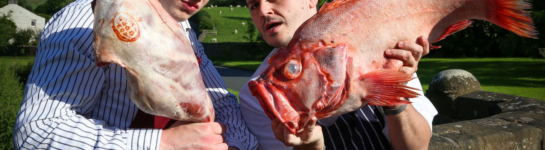 Meat v Fish Promo Shots