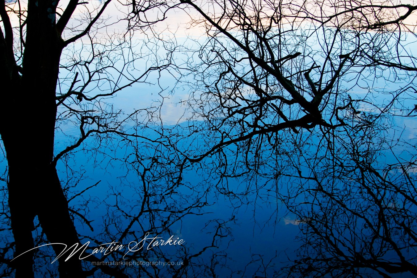 Martin Starkie Photography